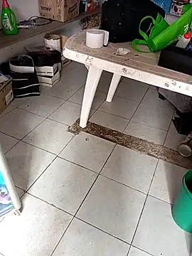 VivienAndClark online show from 12-02-25, 03:18