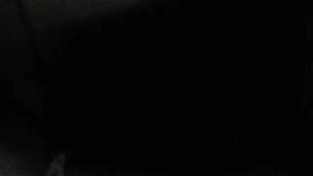 perversalus online show from 12-17-24, 04:34