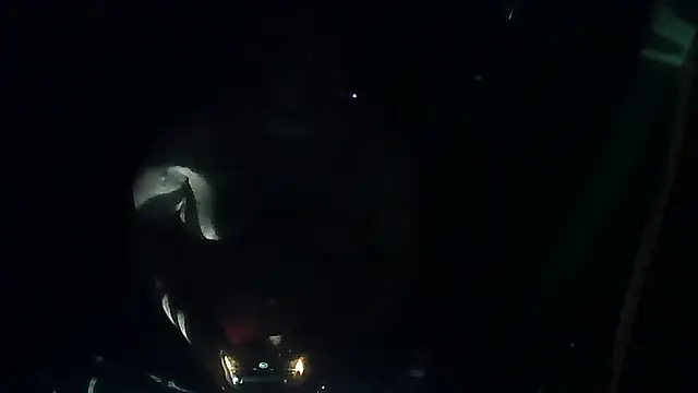 perversalus online show from 03-12-26, 05:08