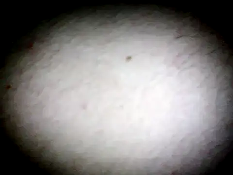 Snapshot of anald66666 chatting on 01-13-25, 07:43 anald66666 online show from 01-13-25, 07:43