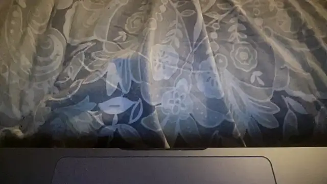 Dogz n daugthers online show from 03-21-26, 12:37