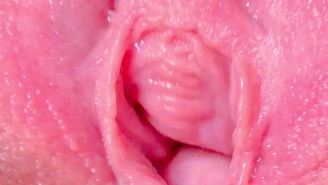 Snapshot of Alu_ryu chatting on 09-27-25, 11:54 Alu ryu online show from 09-27-25, 11:54