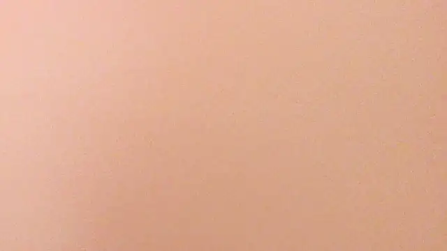 Snapshot of Alu_ryu chatting on 01-31-26, 11:58 Alu ryu online show from 01-31-26, 11:58