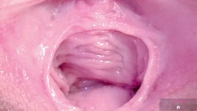 Snapshot of Alu_ryu chatting on 03-11-26, 11:11 Alu ryu online show from 03-11-26, 11:11