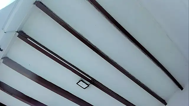 Oriana Guzman online show from 01-17-25, 11:49