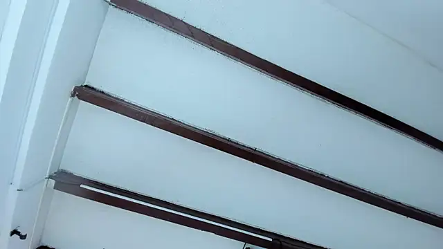 Oriana Guzman online show from 01-19-25, 11:01