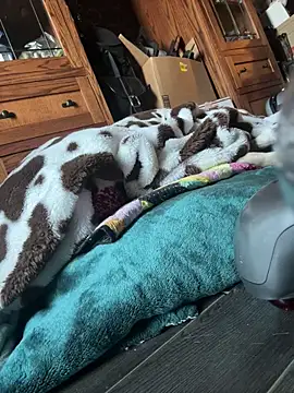 SexyB214 online show from 03-07-25, 12:15