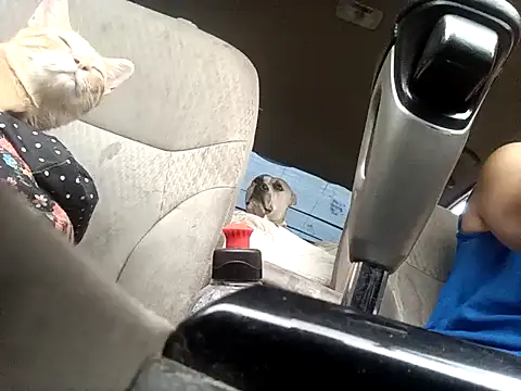 SexyB214 online show from 04-25-26, 04:26