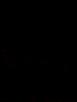 Snapshot of Adee21e chatting on 10-12-25, 06:51 Adee21e online show from 10-12-25, 06:51