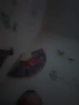 Snapshot of PnP4U2 chatting on 01-16-26, 06:39 PnP4U2 online show from 01-16-26, 06:39