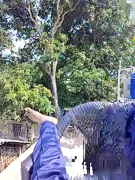 ErRakesh1 online show from 11-10-25, 05:28