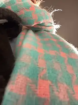 MerlinDave online show from 01-06-25, 01:42