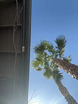 Snapshot of starrynikki chatting on 02-06-26, 08:01 starrynikki online show from 02-06-26, 08:01