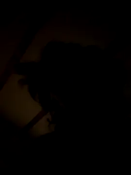 habbockwiesau online show from 11-22-25, 09:03