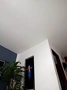 SilvaBranko online show from 12-20-25, 02:07