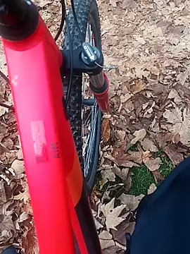 maleesa online show from 11-02-25, 06:27