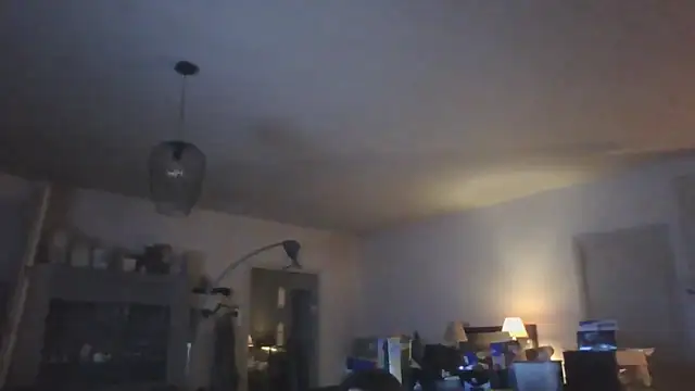 Vekie 007 online show from 05-17-26, 12:19
