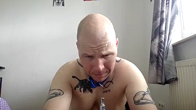 Snapshot of gaywolf426 chatting on 05-15-26, 08:43 gaywolf426 online show from 05-15-26, 08:43