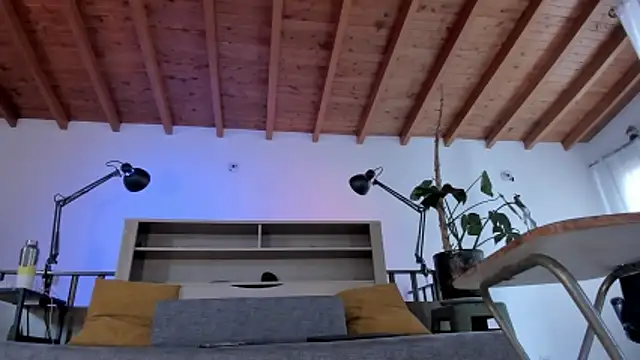 Snapshot of bruno_woods chatting on 03-07-26, 02:47 bruno woods online show from 03-07-26, 02:47