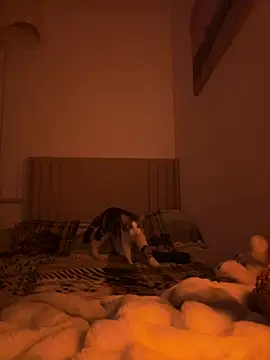 Snapshot of Sashabunny chatting on 02-12-26, 08:15 Sashabunny online show from 02-12-26, 08:15