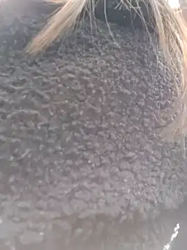 Snapshot of Violeta_12- chatting on 03-18-25, 07:31 Violeta 12- online show from 03-18-25, 07:31