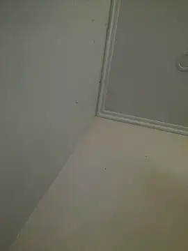 Snapshot of CieloTaylor chatting on 02-25-26, 10:25 CieloTaylor online show from 02-25-26, 10:25