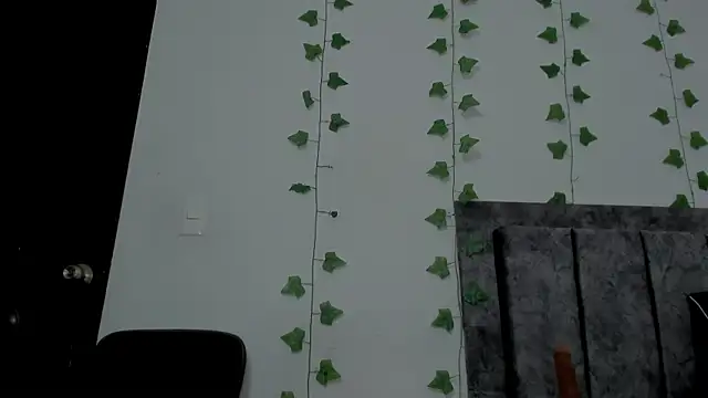 Miaa Garcia online show from 05-15-26, 11:45