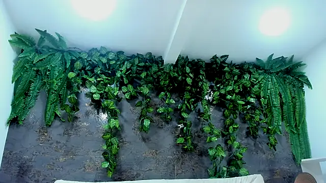 alice greco online show from 11-24-25, 05:01