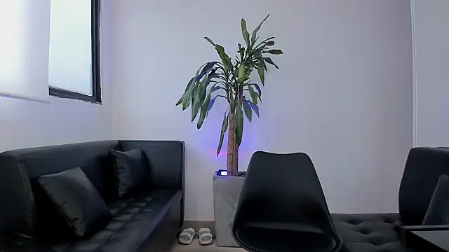 alice greco online show from 02-03-26, 12:54