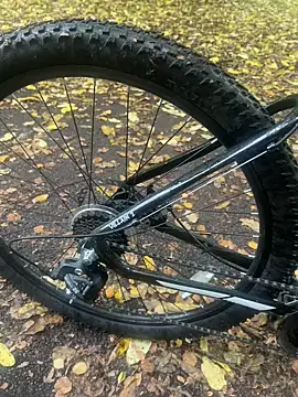 Snapshot of Shyboy817 chatting on 10-22-25, 02:50 Shyboy817 online show from 10-22-25, 02:50