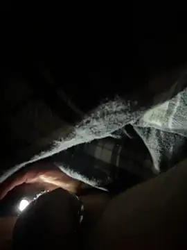 Snapshot of Shyboy817 chatting on 03-11-26, 04:18 Shyboy817 online show from 03-11-26, 04:18