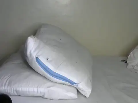 Novah  online show from 04-08-26, 01:38