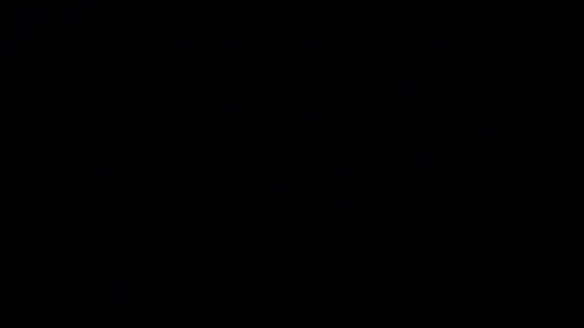 zacwatson  online show from 01-24-25, 06:03