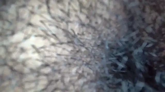 white sexy  online show from 11-29-25, 11:41