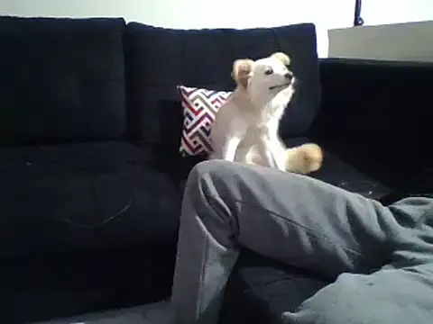 Snapshot of KikiLovesD chatting on 12-31-24, 08:34 KikiLovesD online show from 12-31-24, 08:34