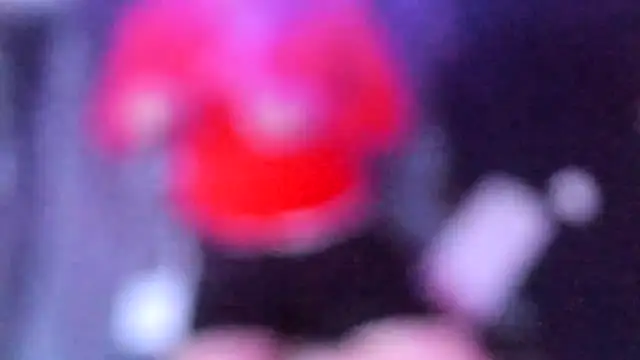 stillwild online show from 07-14-26, 04:06