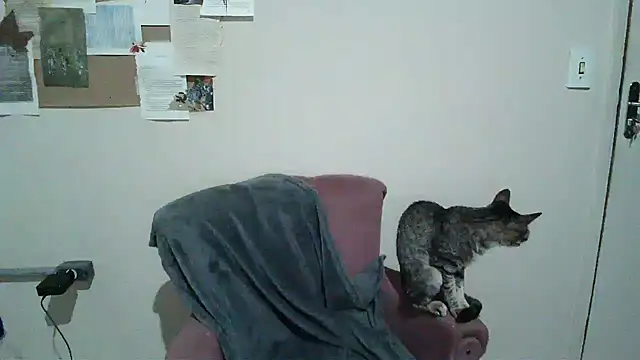 Snapshot of bbyedarling chatting on 11-06-25, 01:50 bbyedarling online show from 11-06-25, 01:50