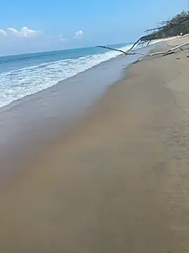 sexntease online show from 03-05-25, 03:08