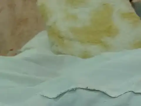 Snapshot of hairy_pussywet chatting on 02-04-25, 12:40 hairy pussywet online show from 02-04-25, 12:40