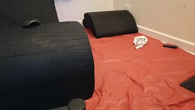 Snapshot of pantslesstraveler_plt chatting on 02-03-25, 01:52 pantslesstraveler plt online show from 02-03-25, 01:52