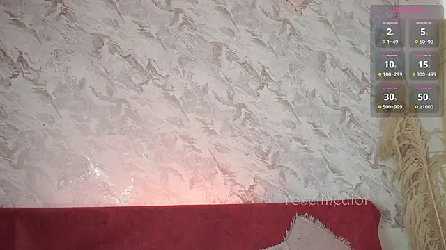 roselinedior online show from 11-20-25, 02:17