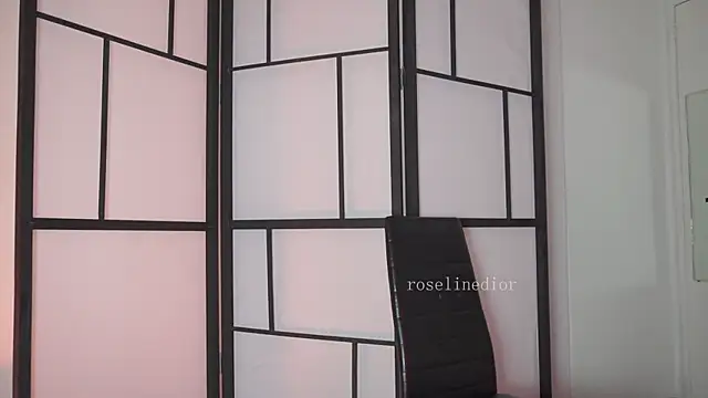 roselinedior online show from 02-24-26, 04:49