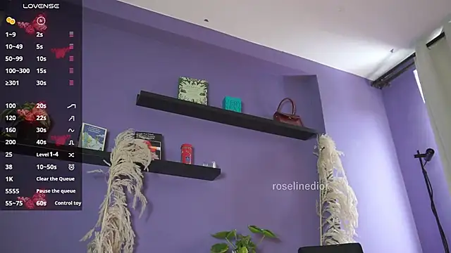 roselinedior online show from 06-08-26, 04:07