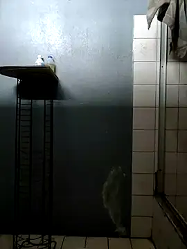 Snapshot of kamasutra20 chatting on 09-29-25, 06:02 kamasutra20 online show from 09-29-25, 06:02