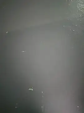 Snapshot of kamasutra20 chatting on 12-19-25, 01:01 kamasutra20 online show from 12-19-25, 01:01