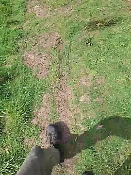 Snapshot of FreezingTie850 chatting on 05-06-26, 10:20 FreezingTie850 online show from 05-06-26, 10:20