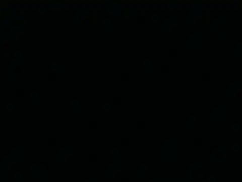 Tigerhill2023 online show from 04-25-26, 07:33