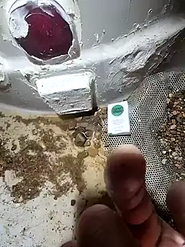 cdressupdiva online show from 01-20-25, 03:50