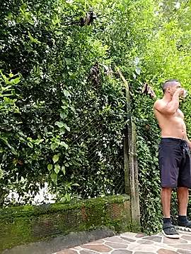 sebasxx97 online show from 01-12-26, 02:00