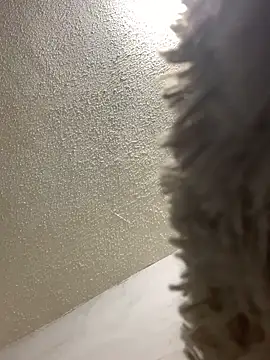 Snapshot of talitasilvx chatting on 03-18-25, 11:09 talitasilvx online show from 03-18-25, 11:09